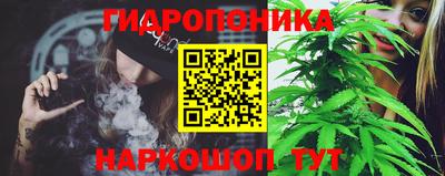 Альфа ПВП Гудермес
