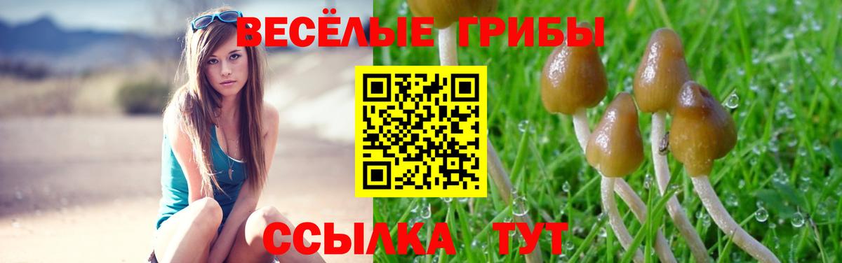 Псилоцибиновые грибы Psilocybe Симферополь